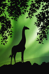 Lonely giraffe framed by branches. Animal silhouette. Aurora borealis