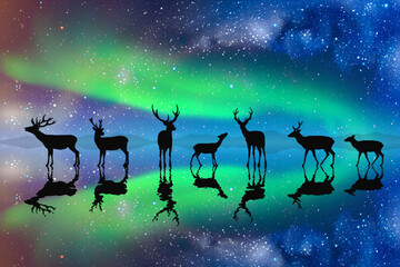 Deer family on frozen lake. Animal herd silhouette. Aurora borealis