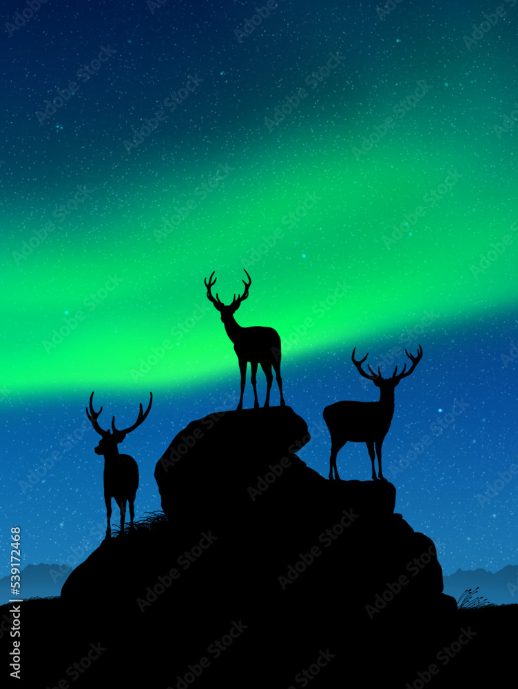 Poster deer family on rocks. wild animal silhouettes. green aurora borealis