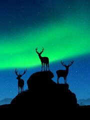 Deer family on rocks. Wild animal silhouettes. Green aurora borealis