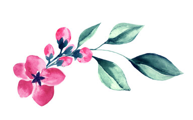 Pink Green Floral Watercolor Arrangement