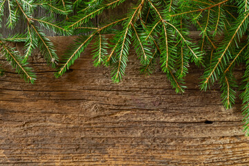 Green branches of spruce on an old wooden board
