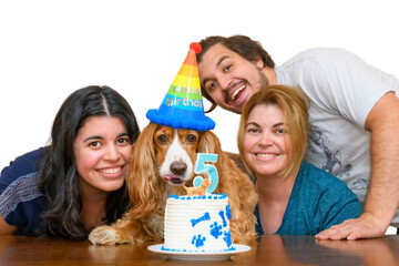Latin American family celebrating the birthday of their pampered dog pet