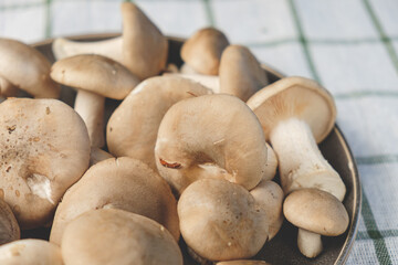 Fresh forest mushrooms in a plate on a striped towel. Top view