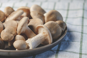 Fresh forest mushrooms in a plate on a striped towel. Top view
