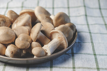 Fresh forest mushrooms in a plate on a striped towel. Top view
