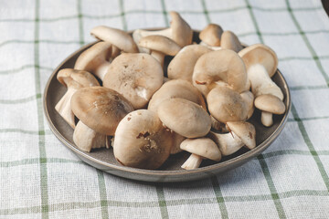 Fresh forest mushrooms in a plate on a striped towel. Top view