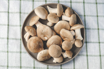Fresh forest mushrooms in a plate on a striped towel. Top view