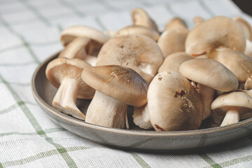 Fresh forest mushrooms in a plate on a striped towel. Top view