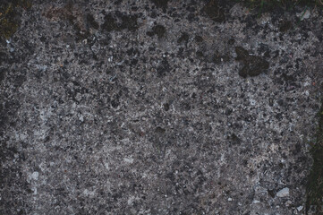 Stone surface with darkened mold and moss, grungy vintage background closeup, grunge granite texture.