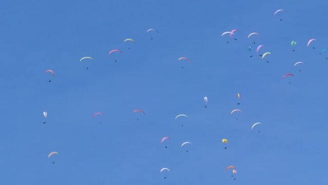 A lot of paragliders in the sky