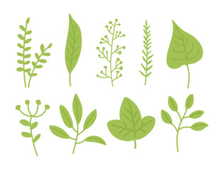 A set of hand-drawn illustrations of a variety of fresh green leaves.