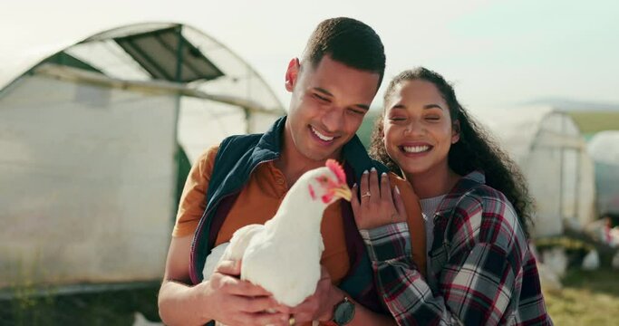 Happy chicken farmer people, couple smile in sustainable agriculture and small business farming in Houston. Organic poultry harvest, countryside lifestyle and green sustainability success in garden
