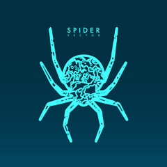Abstract spider illustration.