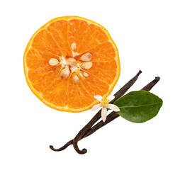 Orange fruits and Vanilla on tranparent background.