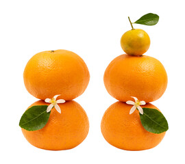 Orange fruits and flower on tranparent background.