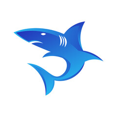 Modern geometric colorful shark logo icon vector