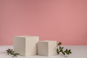 Two cubic podiums in white and pink and branches of eucalyptus parfivolia. Mockup for presentation cosmetic products.
