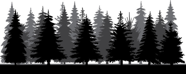 forest black silhouette design isolated © zolotons