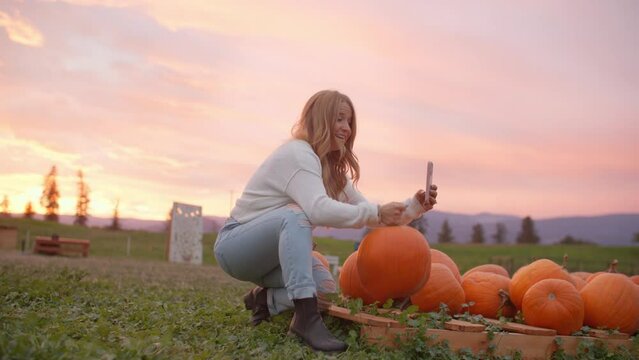 Female content creator takes selfie video at pumpkin patch during sunset