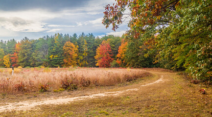 Path around a meadow in autumn