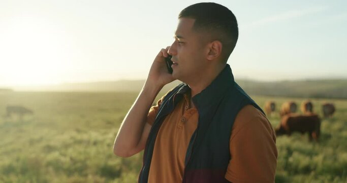 Agriculture, farm and farmer phone call talking or planning eco friendly cattle farming strategy plan. Young man discuss ecology, sustainable development and countryside lifestyle on smartphone