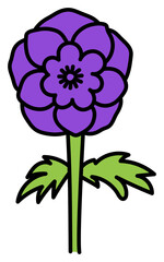 Flower anemone with stem and leaf. Hand drawn color sketch