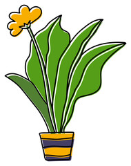 Potted flower sketch. Indoor plant in a pot. Color illustration