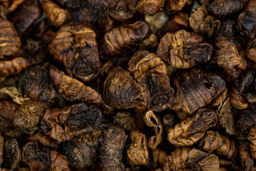 the dried silkworm larva - animal food