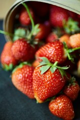 Fruit red ripe strawberries fall out of the basket to collect berries. Ecological products grown in the garden