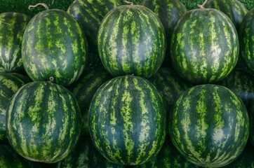 Several large sweet green watermelons and cut watermelons, several large sweet green watermelons are placed on a wooden table on a natural background for sale.