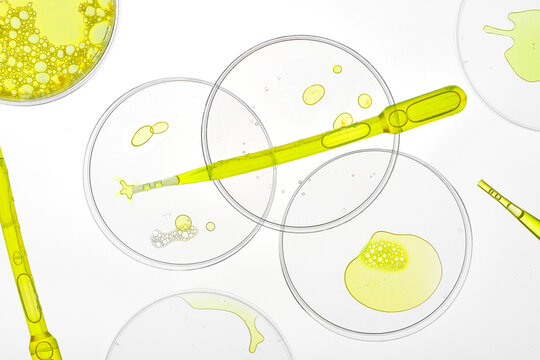 Liquid yellow samples in laboratory glassware on white background