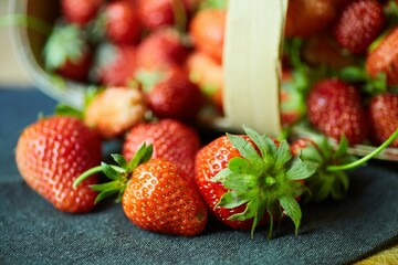 Fruit red ripe strawberries fall out of the basket to collect berries. Ecological products grown in the garden