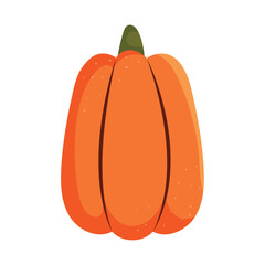 orange pumpkin icon