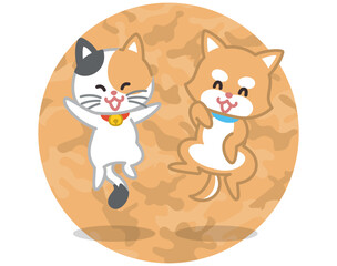 子犬と子猫がジャンプしている