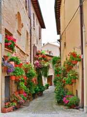 Fototapeta na wymiar medieval village of Spello in the city of Perugia, Umbria, Italy