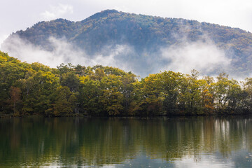 秋の高原の風景　志賀高原の紅葉