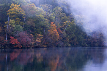 秋の高原の風景　志賀高原の紅葉