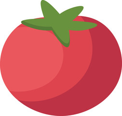 Hand drawn tomato Food icon. Vector illustration