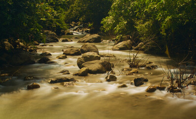 Mountain stream in the forest, long exposure picture