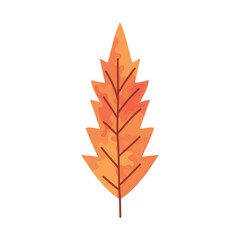Fototapeta premium autumn leaf icon