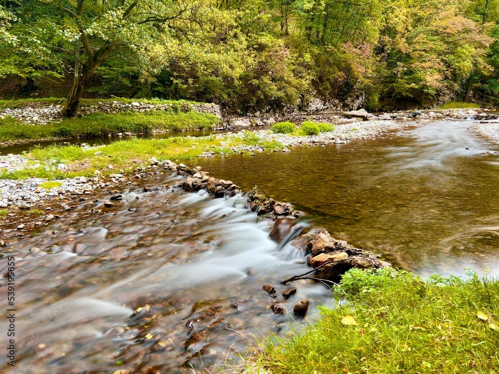 Canvas Prints Long exposure of a streaming rocky river in the autumn forest