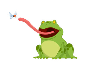 Cartoon frogs Funny cartoon frog. Little amphibia character sitting on white background. Adorable froggy catching fly with tongue