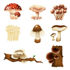 set of mushrooms