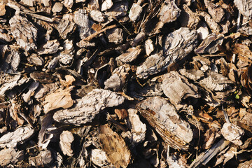 Tree bark texture. Peeling tree trunk. Bark in pieces background. Ground protection with chopped tree part. Securing plats root from cold. Forest path pattern.