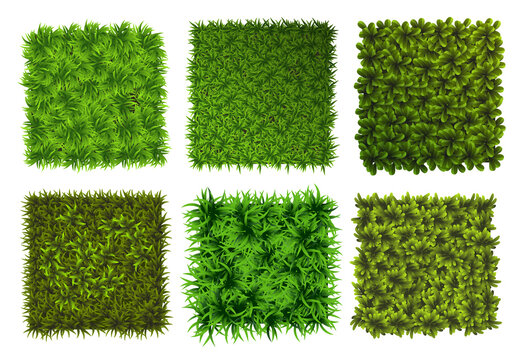 Green grass squares. Ground cover plants background texture. Design for card, banner. Piece grasses for you design