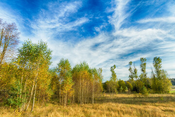 Fototapeta na wymiar Landscape autumn road with colourful trees, autumn Poland, Europe and amazing blue sky with clouds, sunny day