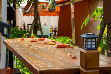 Wooden table with fallen leaves in outdoor garden