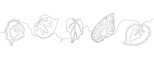 Begonia leaves. Art line ecology print. Sketch nature border. Simple leaves border