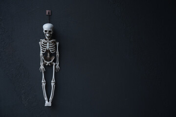 Halloween skeleton decoration